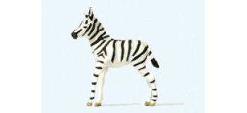 PR29504 - Jeune Zebre - Preiser